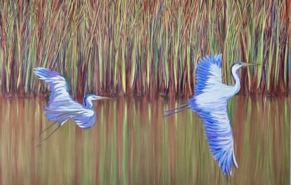 The Way by Robert M. Allen