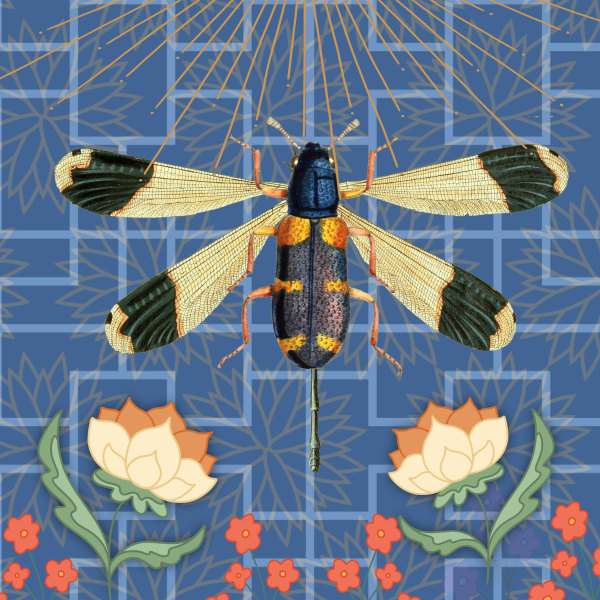 Wings of Desire by Mark Blanchard