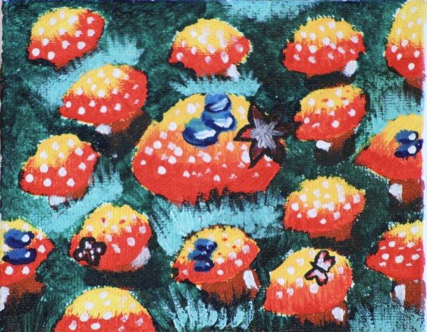 Fairy Mushrooms!