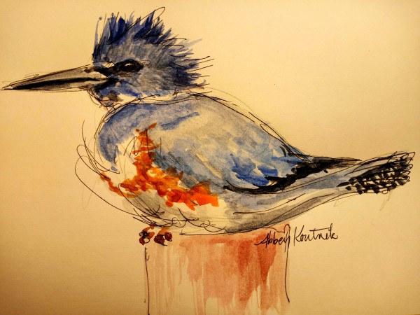 CAA Drawing-a-Day Challenge - Kingfisher