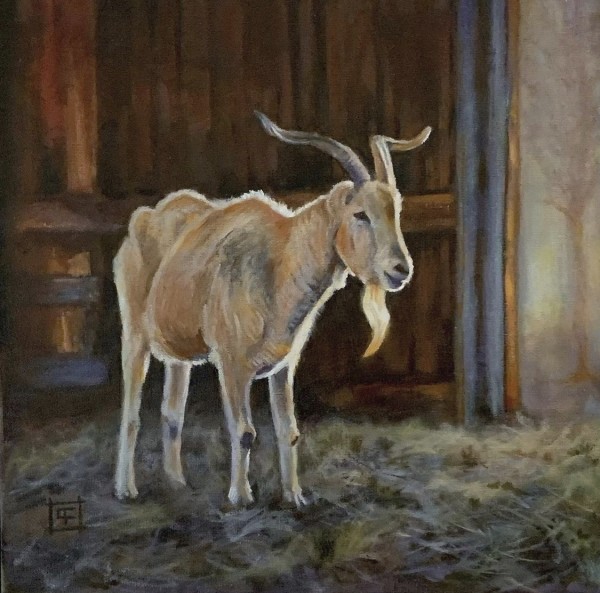 A Good Morning - Willy the Goat by Cheryl Feng