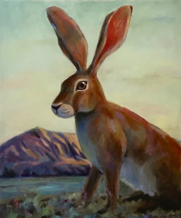 Desert Hare by Cheryl Feng