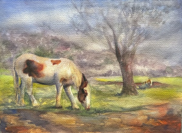Santa Fe Pony by Cheryl Feng