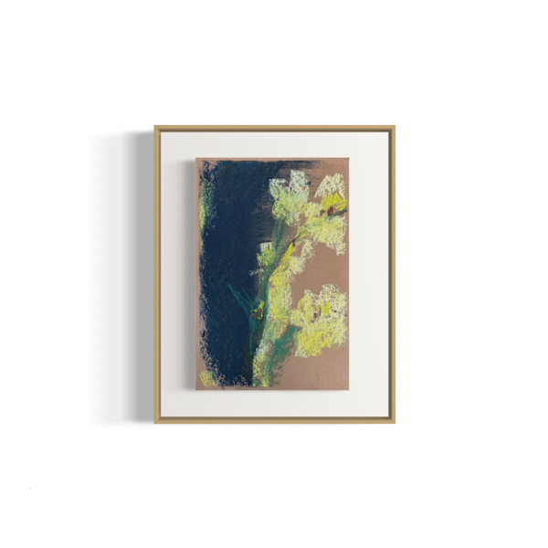 Freesia Study by Anne Sanger