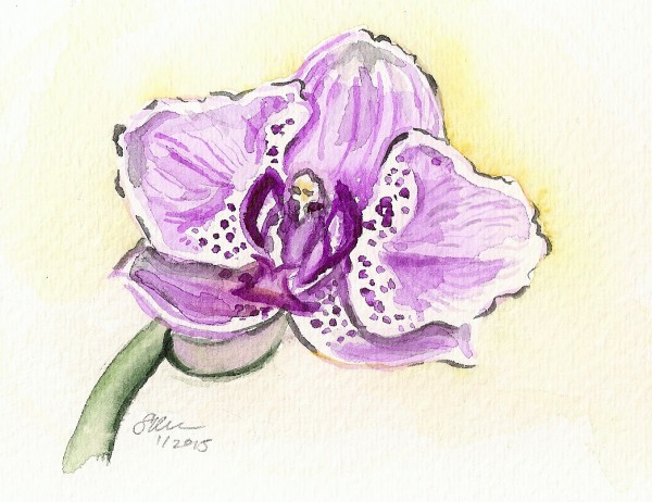 Pink Orchid by Sonya Kleshik