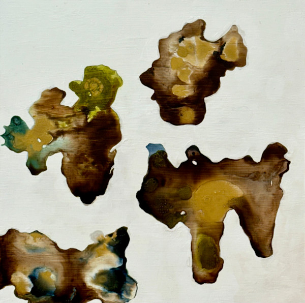 Sitka Bark Ink III by Shobha Jetmalani