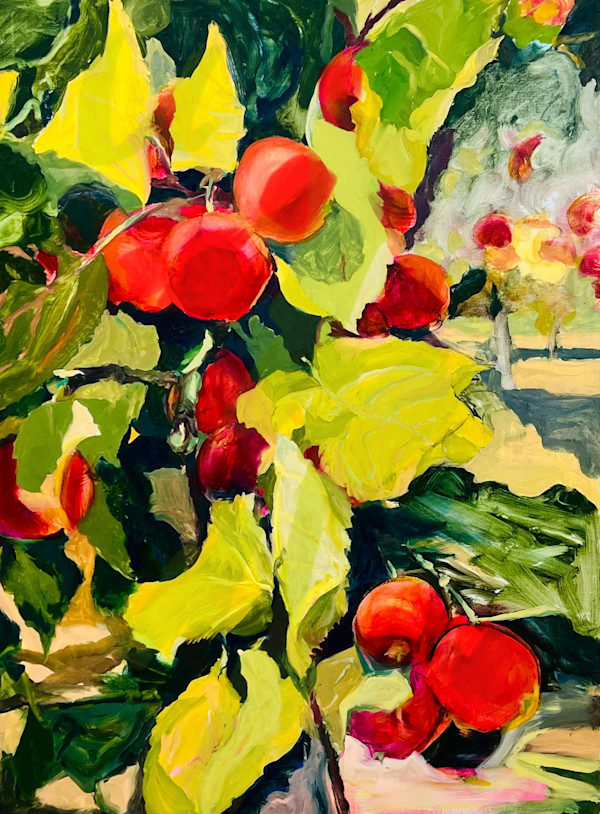 Pioneer Orchard Apples by Shobha Jetmalani