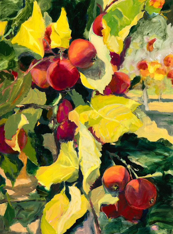 Pioneer Orchard Apples by Shobha Jetmalani, Image 1.