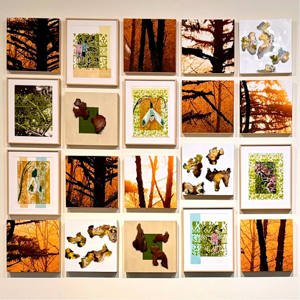 Fresh Air Fables by Shobha Jetmalani, Image 2.