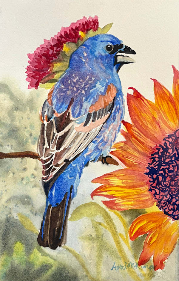 Blue Grosbeak by April Rimpo