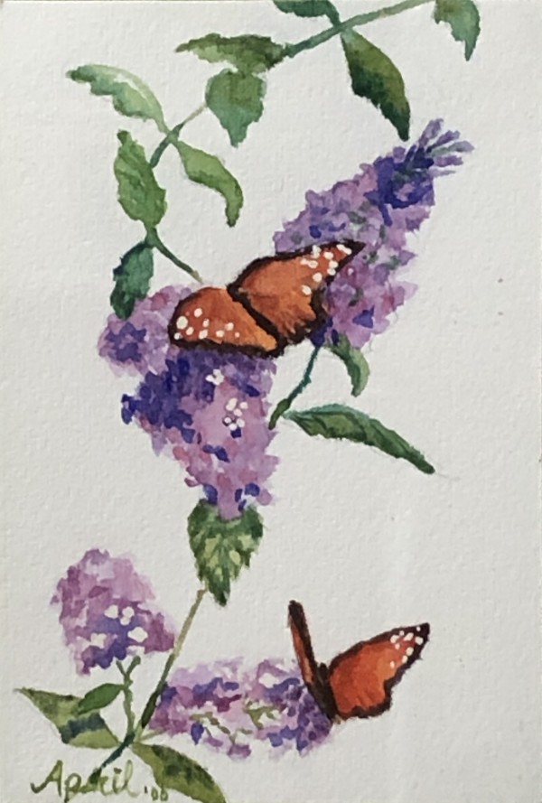 Butterfly Delight by April Rimpo