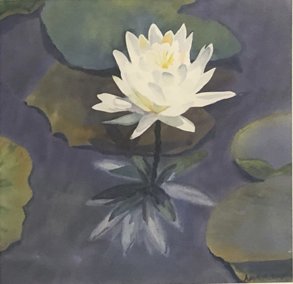 Waterlily Reflection by April Rimpo