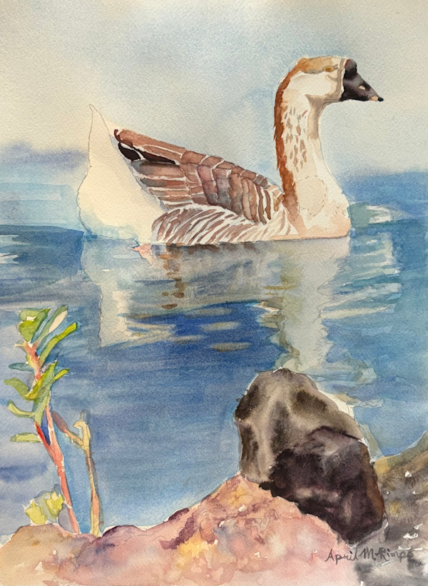 Domestic Swan Goose - Demo by April Rimpo