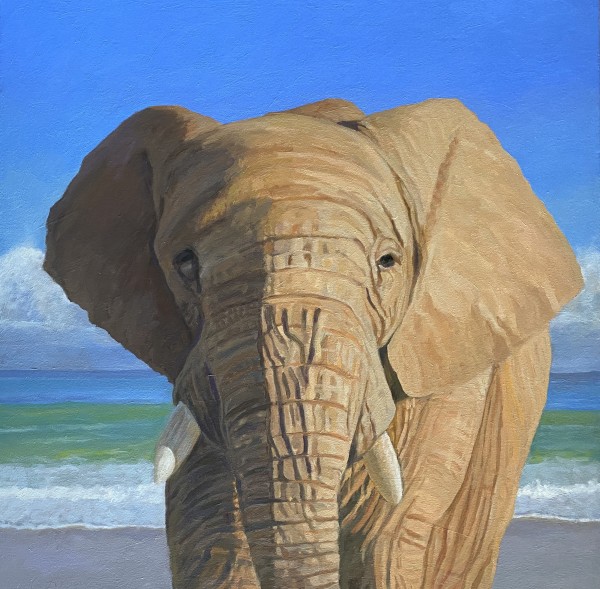 Elephant at the Beach