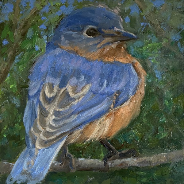 Bluebird #3
