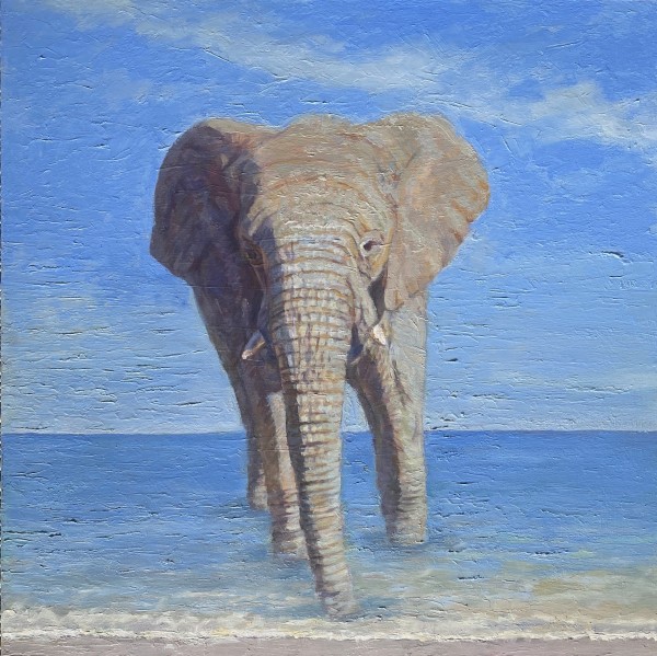 Elephant in the Tide
