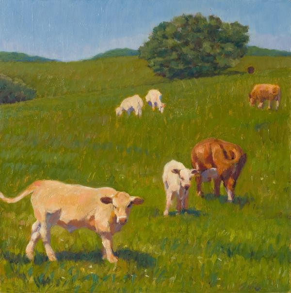 Grazing at Osage Hill by Nancy Bass