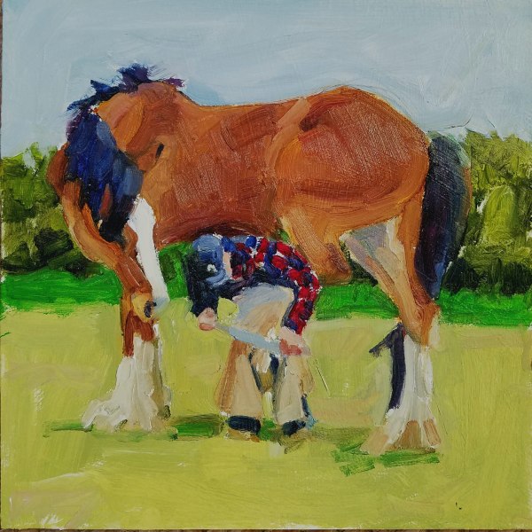 Clydesdale Horse by Rachel Catlett
