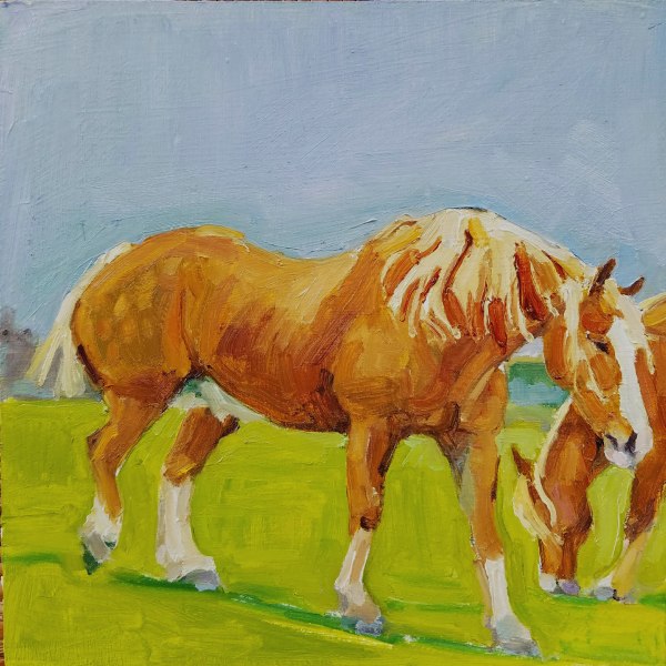 Belgian Horse by Rachel Catlett