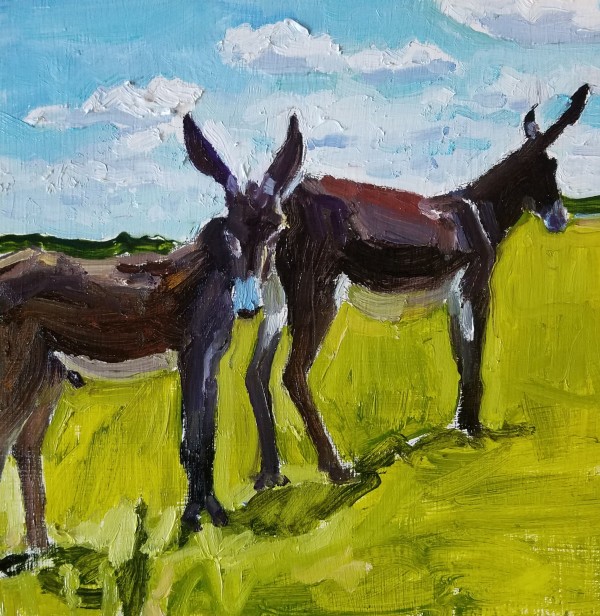 American JackStock Donkeys by Rachel Catlett