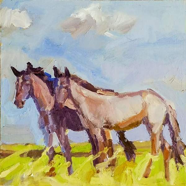 Nakota Horses by Rachel Catlett