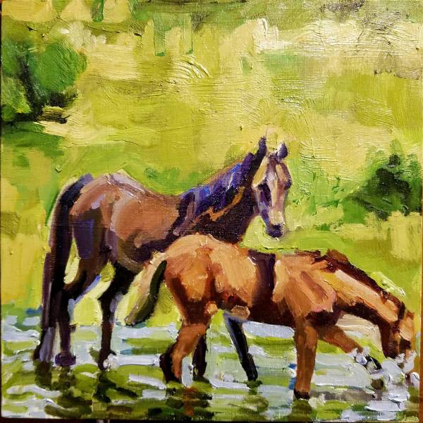 Galiceno Horses by Rachel Catlett