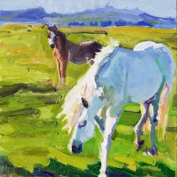 Newfoundland Pony by Rachel Catlett