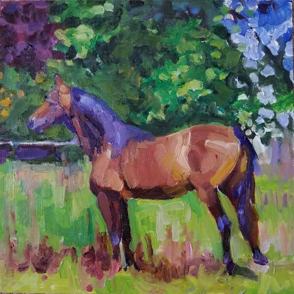 Traditional Morgan Horse by Rachel Catlett