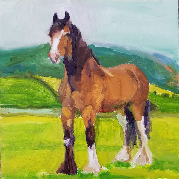 Shire Horse by Rachel Catlett