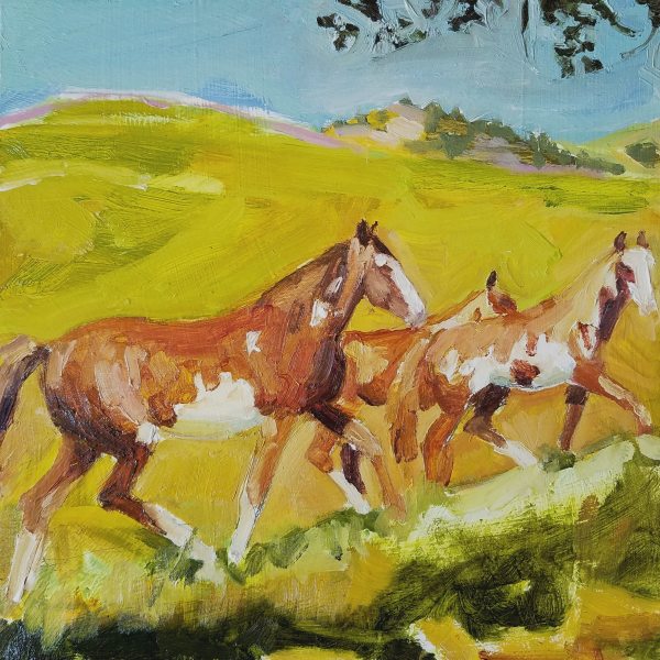 Wilbur Cruce Horses by Rachel Catlett