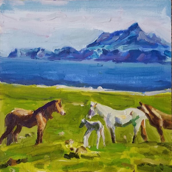 Santa Cruz Island Horses by Rachel Catlett