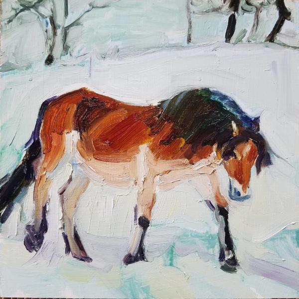 Gotland Pony by Rachel Catlett