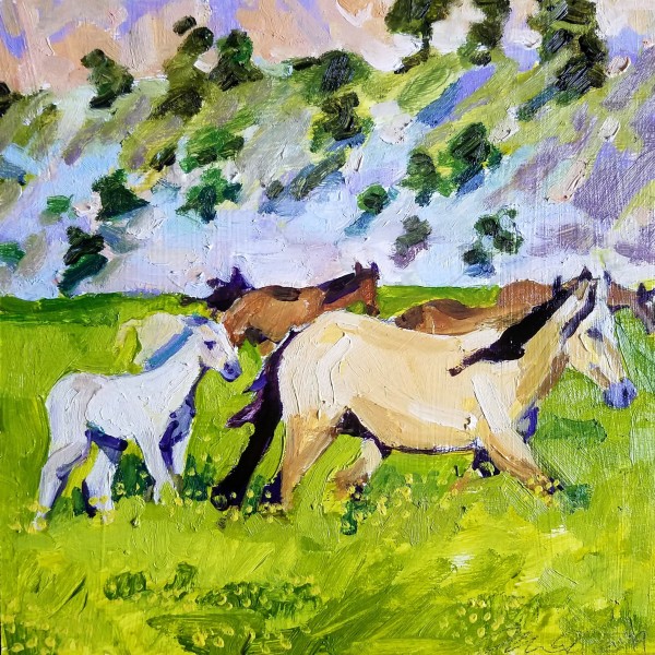Sulphur Horses by Rachel Catlett