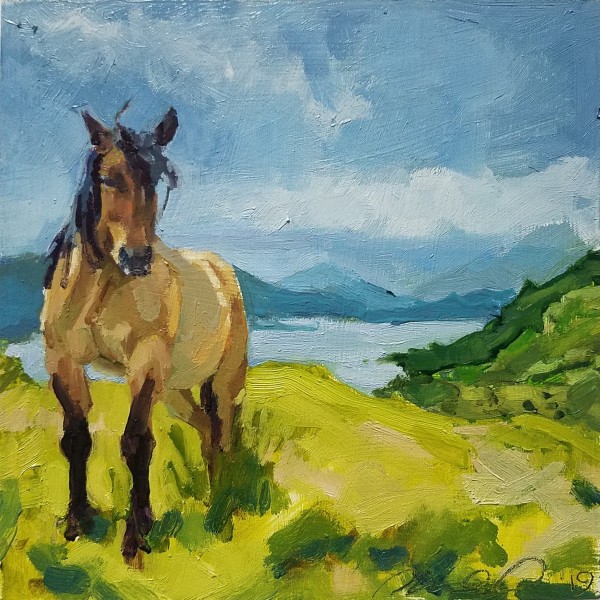 Highland Pony by Rachel Catlett