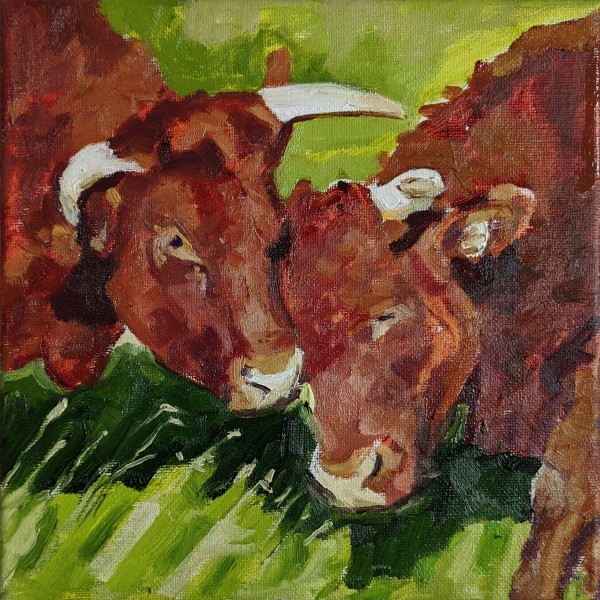 Red Devon Cattle by Rachel Catlett