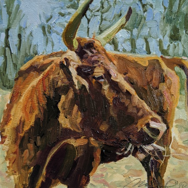 Dexter Cow by Rachel Catlett