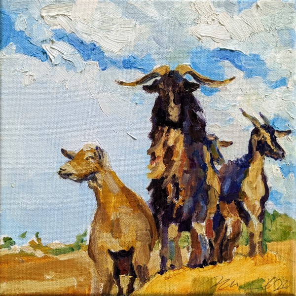 San Clemente Goats by Rachel Catlett