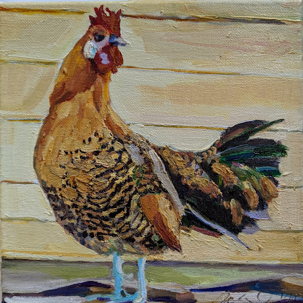 Campine Chicken by Rachel Catlett