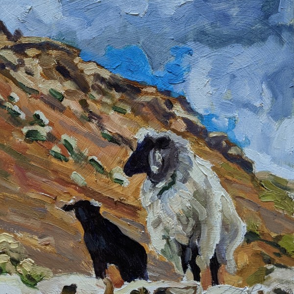 Navajo Churro Sheep III by Rachel Catlett