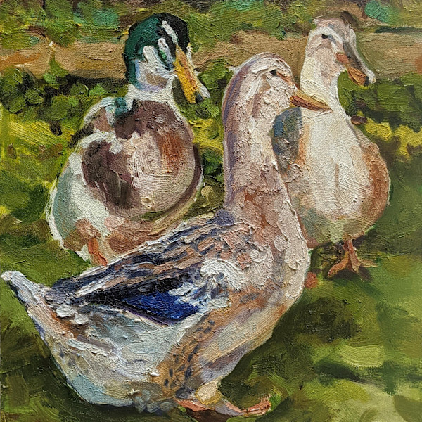 Silver Appleyard Ducks by Rachel Catlett
