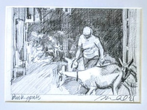 Milk Goats by Rachel Catlett