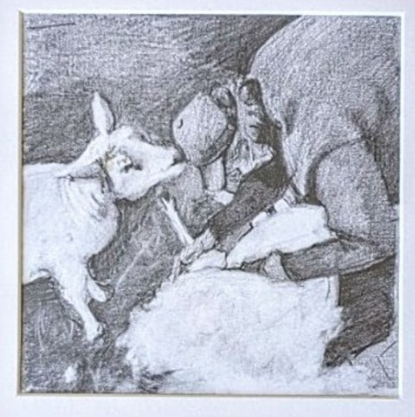 Sheep Shearer II by Rachel Catlett