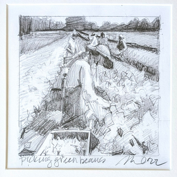 Picking Green Beans by Rachel Catlett