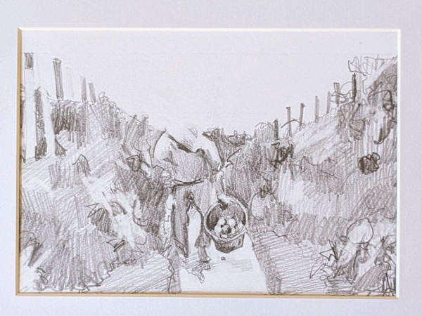 Tomato Picking by Rachel Catlett