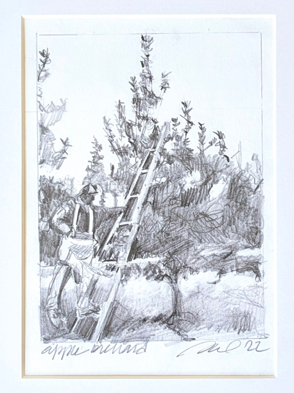 Apple Orchard by Rachel Catlett