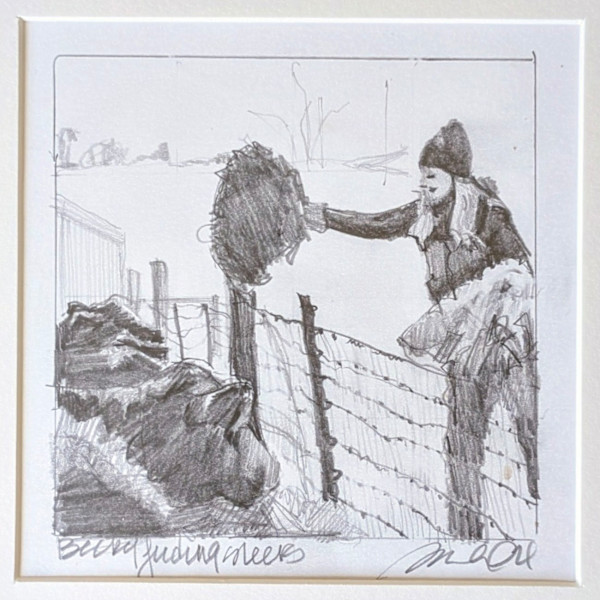 Becky Feeding Steers by Rachel Catlett