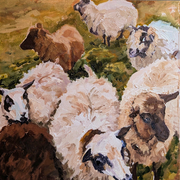 Ewe Lambs by Rachel Catlett