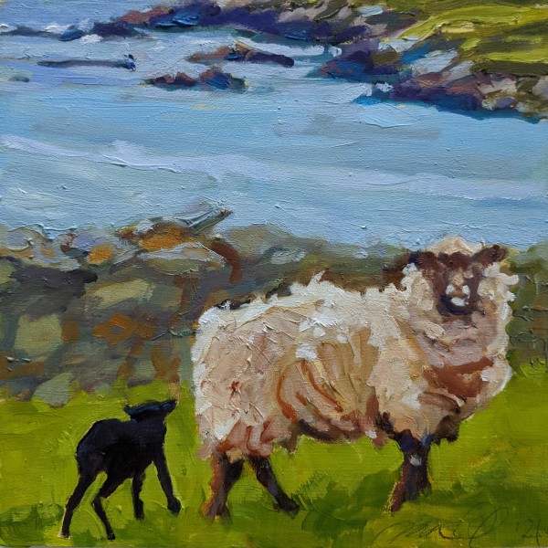 Shetland Sheep by Rachel Catlett