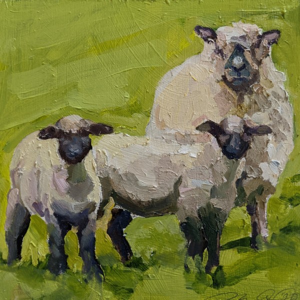 Oxford Sheep by Rachel Catlett