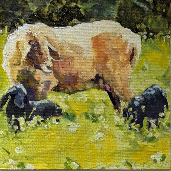 Karakul Sheep by Rachel Catlett